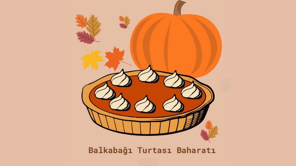 balkabagi turtasi baharati